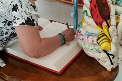 34509155_1914415648582161_8146207467517247488_n